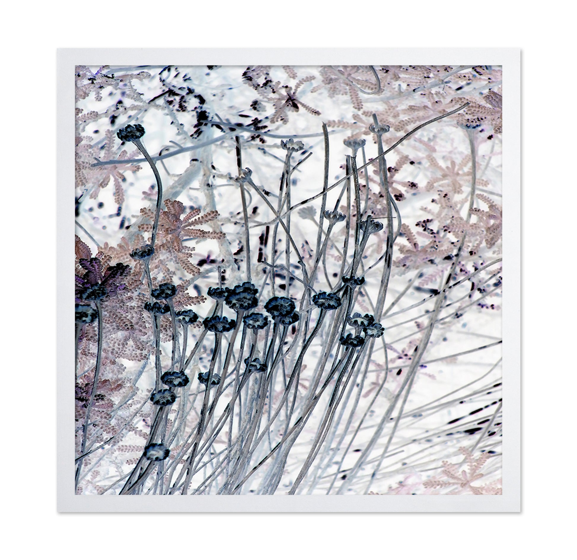 Delicate Stem Abstract