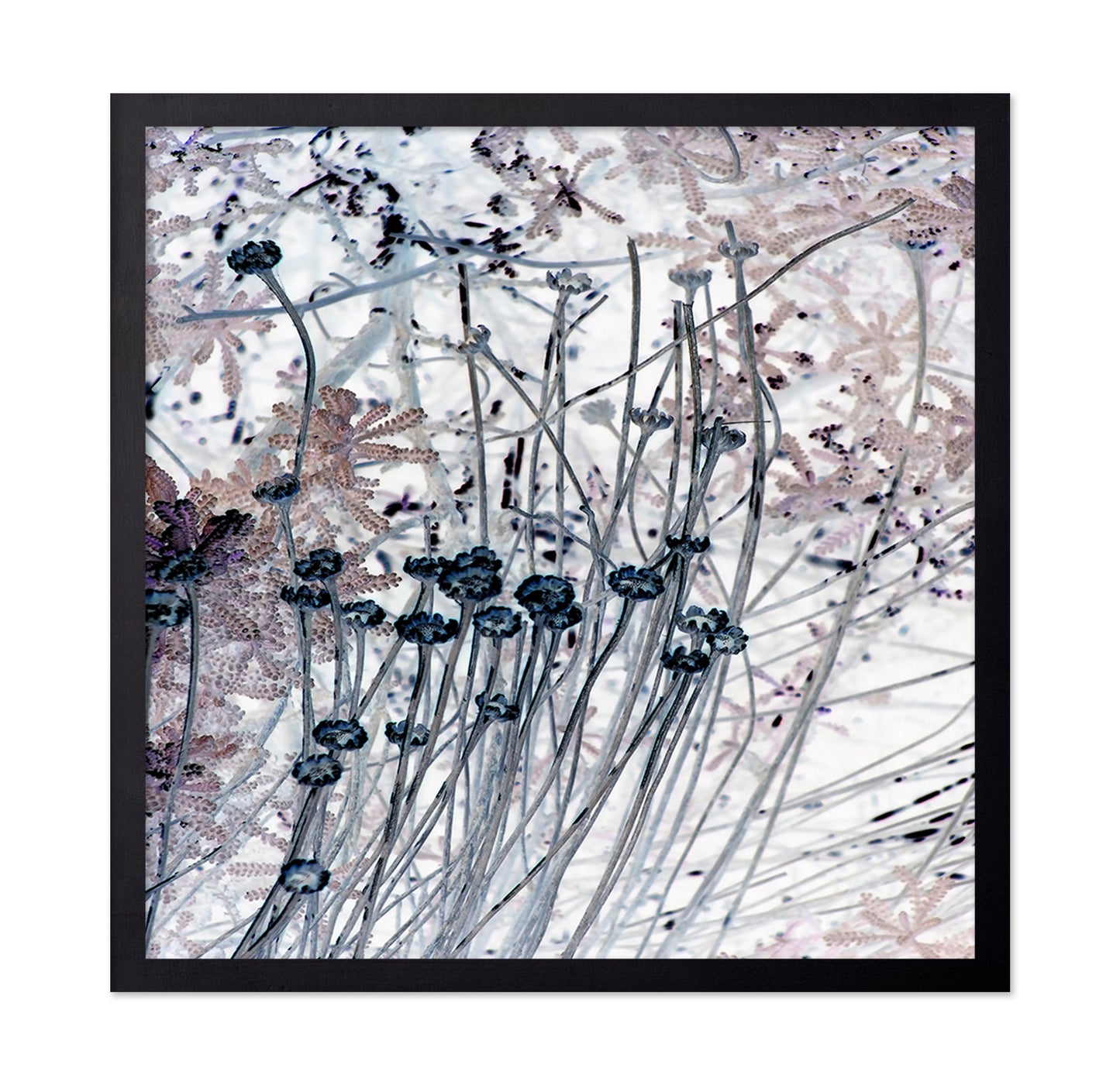 Delicate Stem Abstract