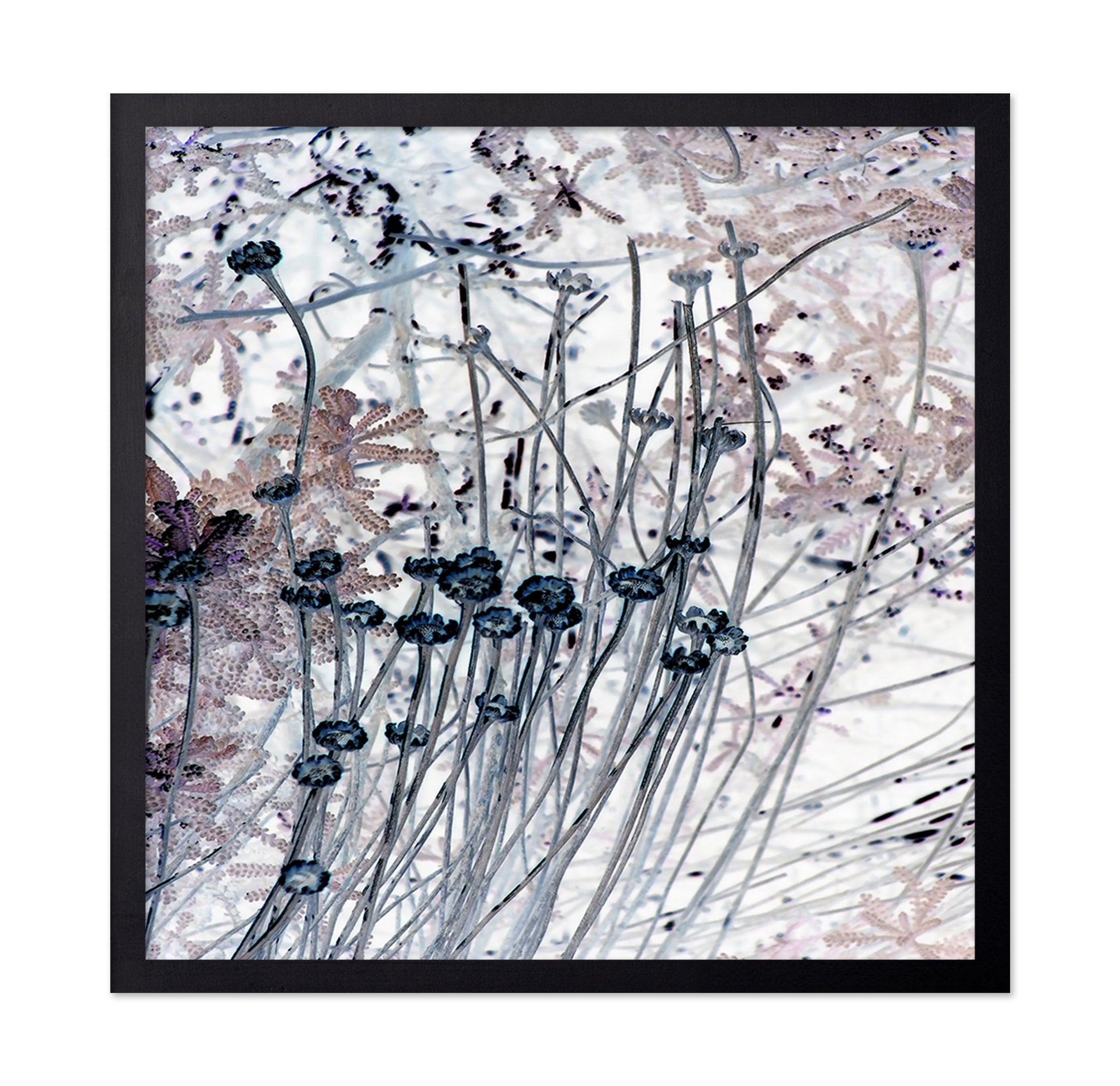 Delicate Stem Abstract