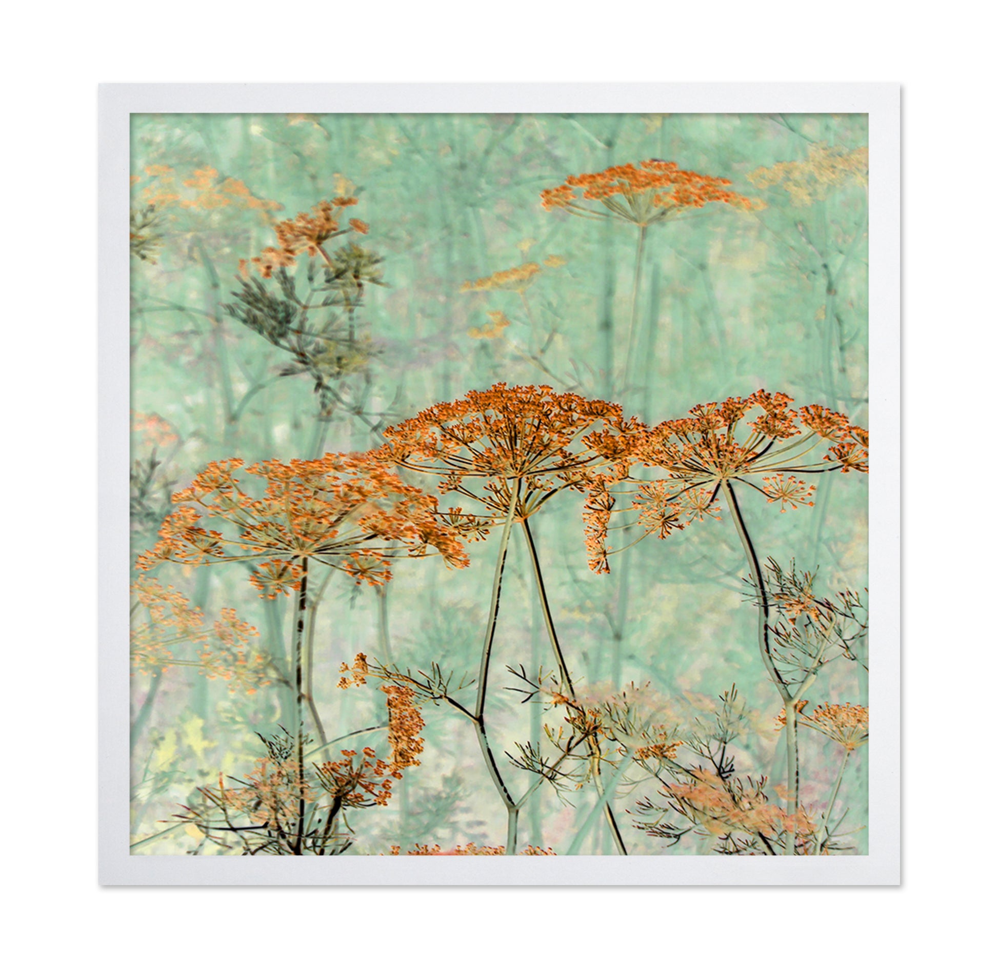 Soft Nature Whispers