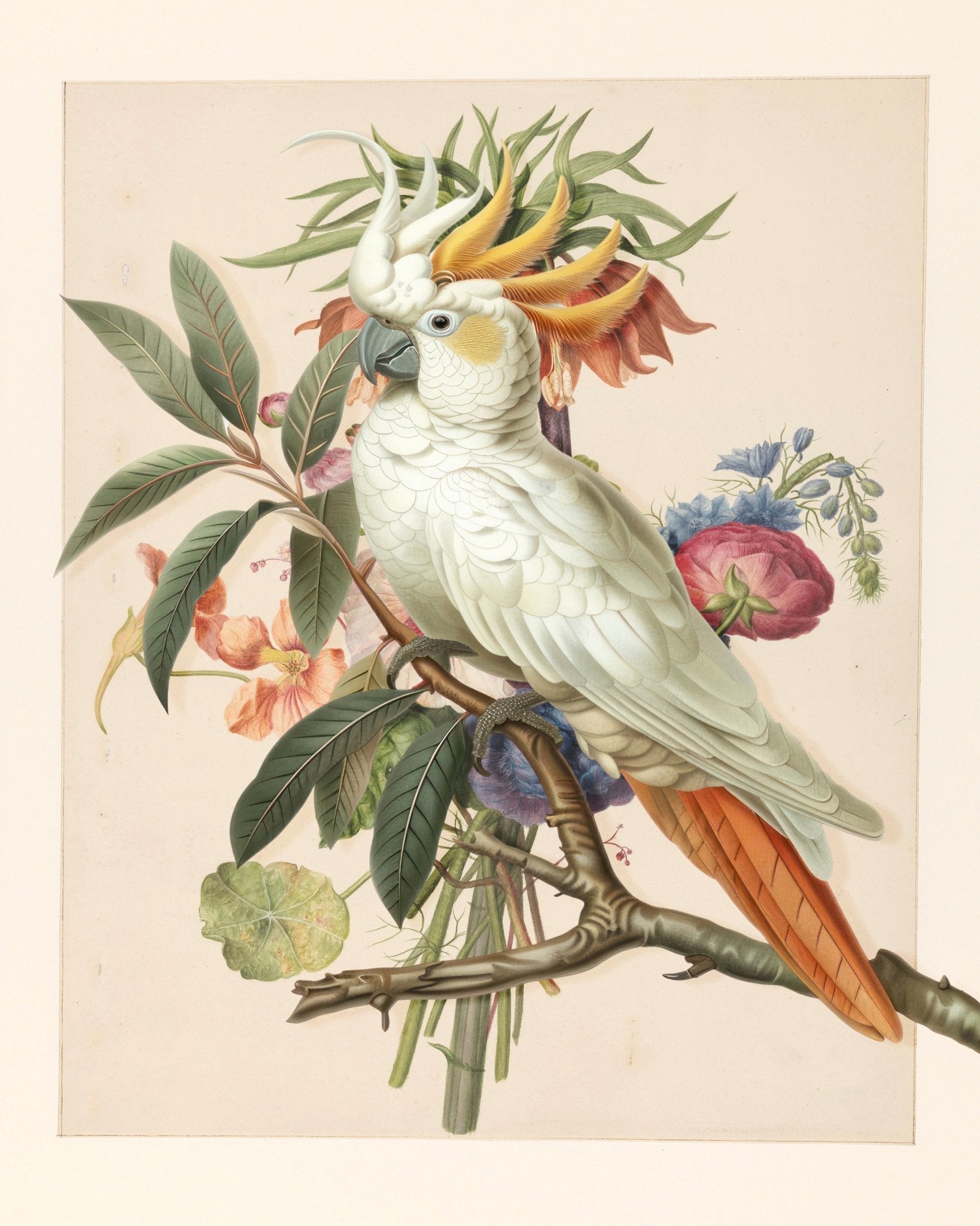 Cockatoo Blossom