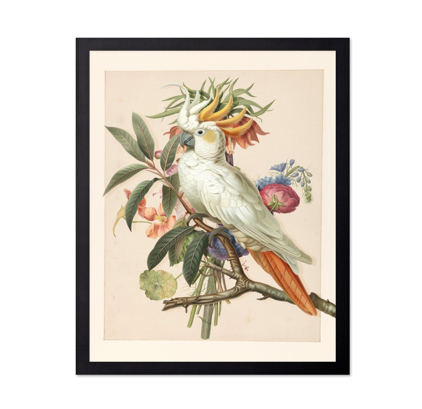 Cockatoo Blossom