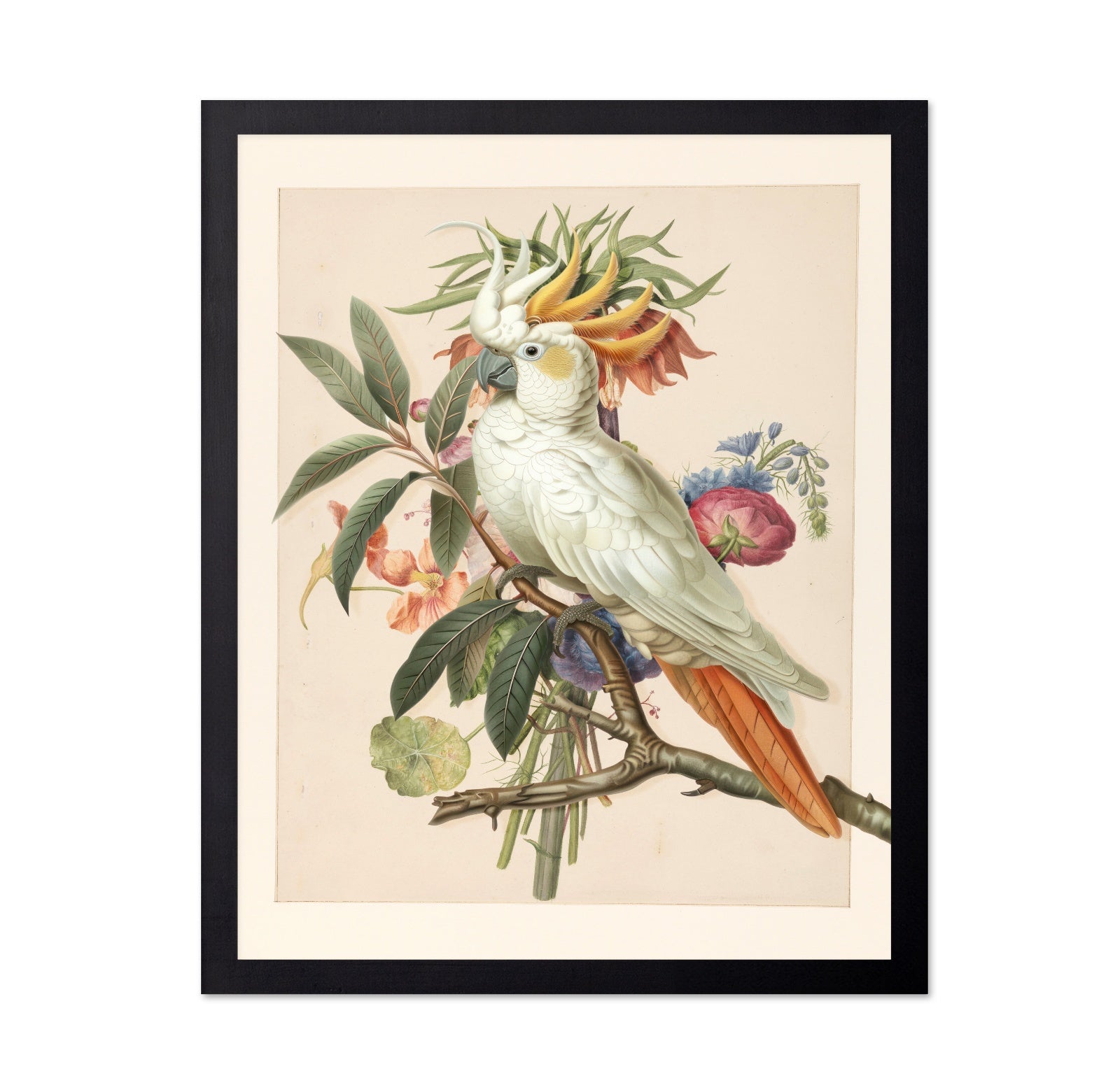 Cockatoo Blossom