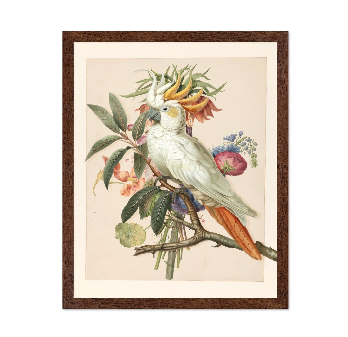 Cockatoo Blossom