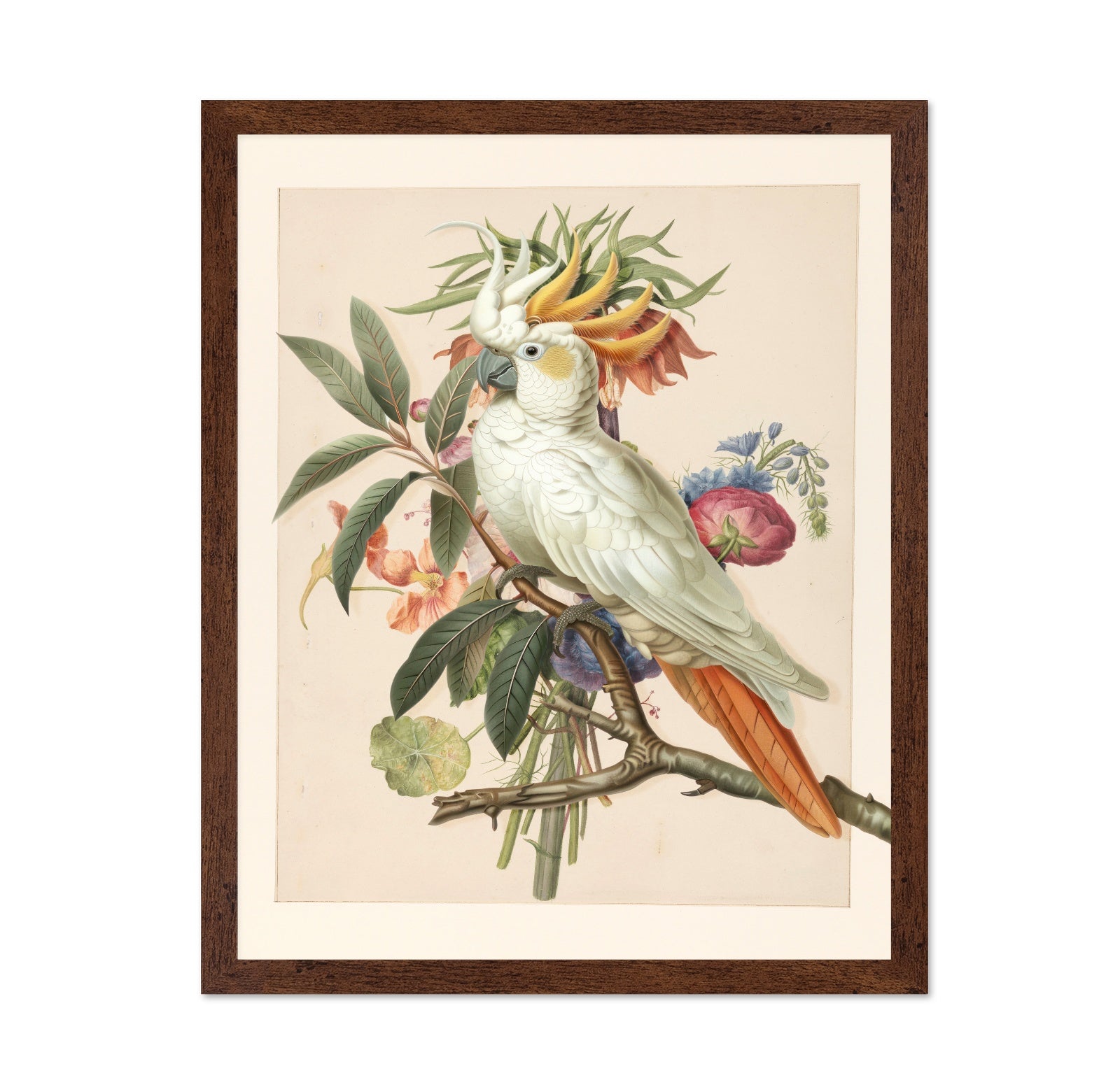 Cockatoo Blossom