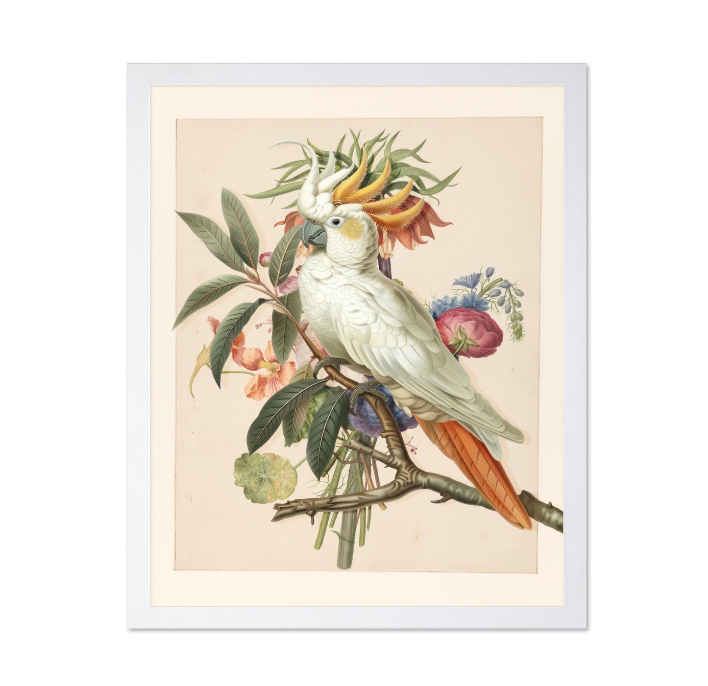 Cockatoo Blossom