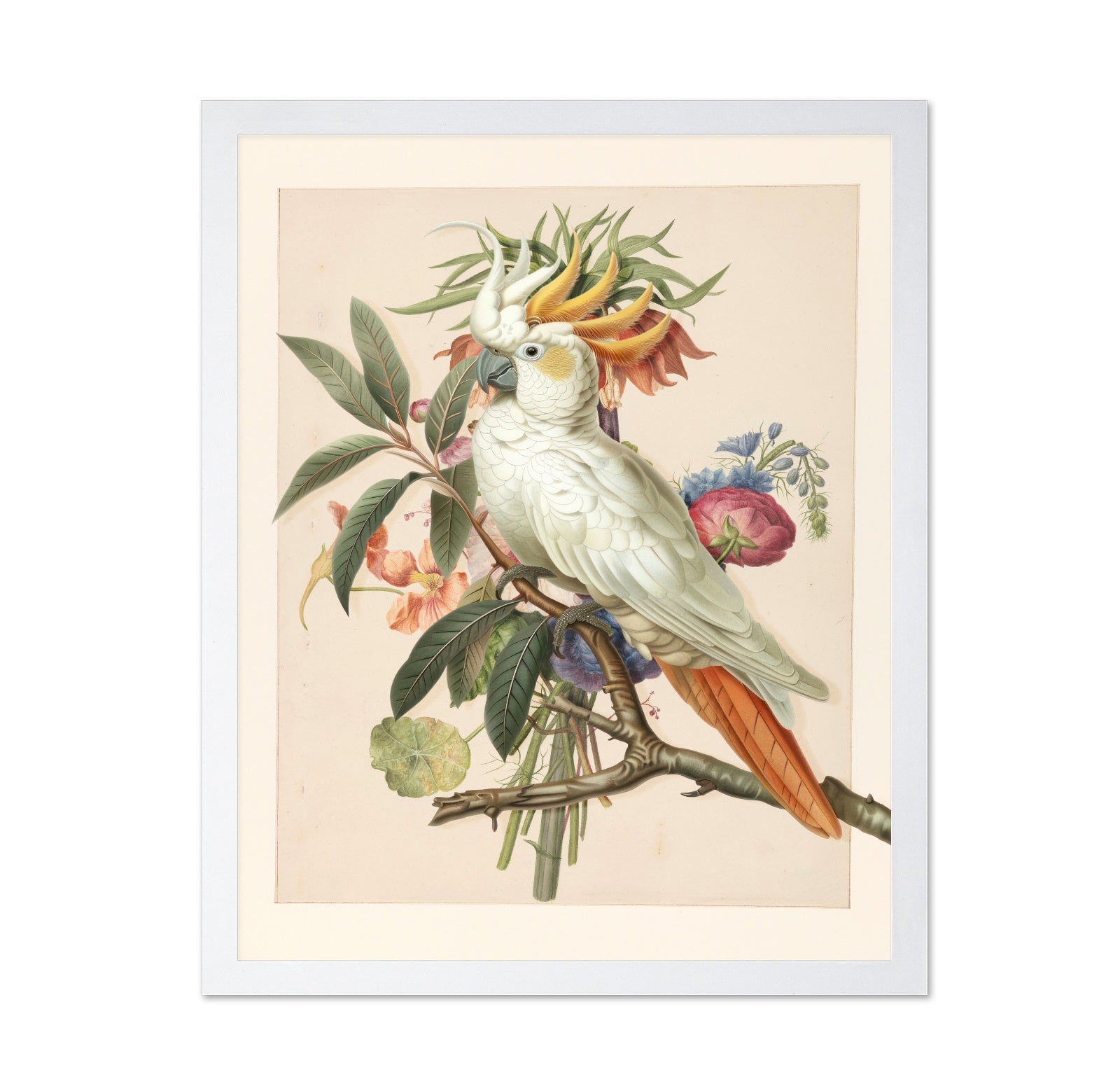 Cockatoo Blossom
