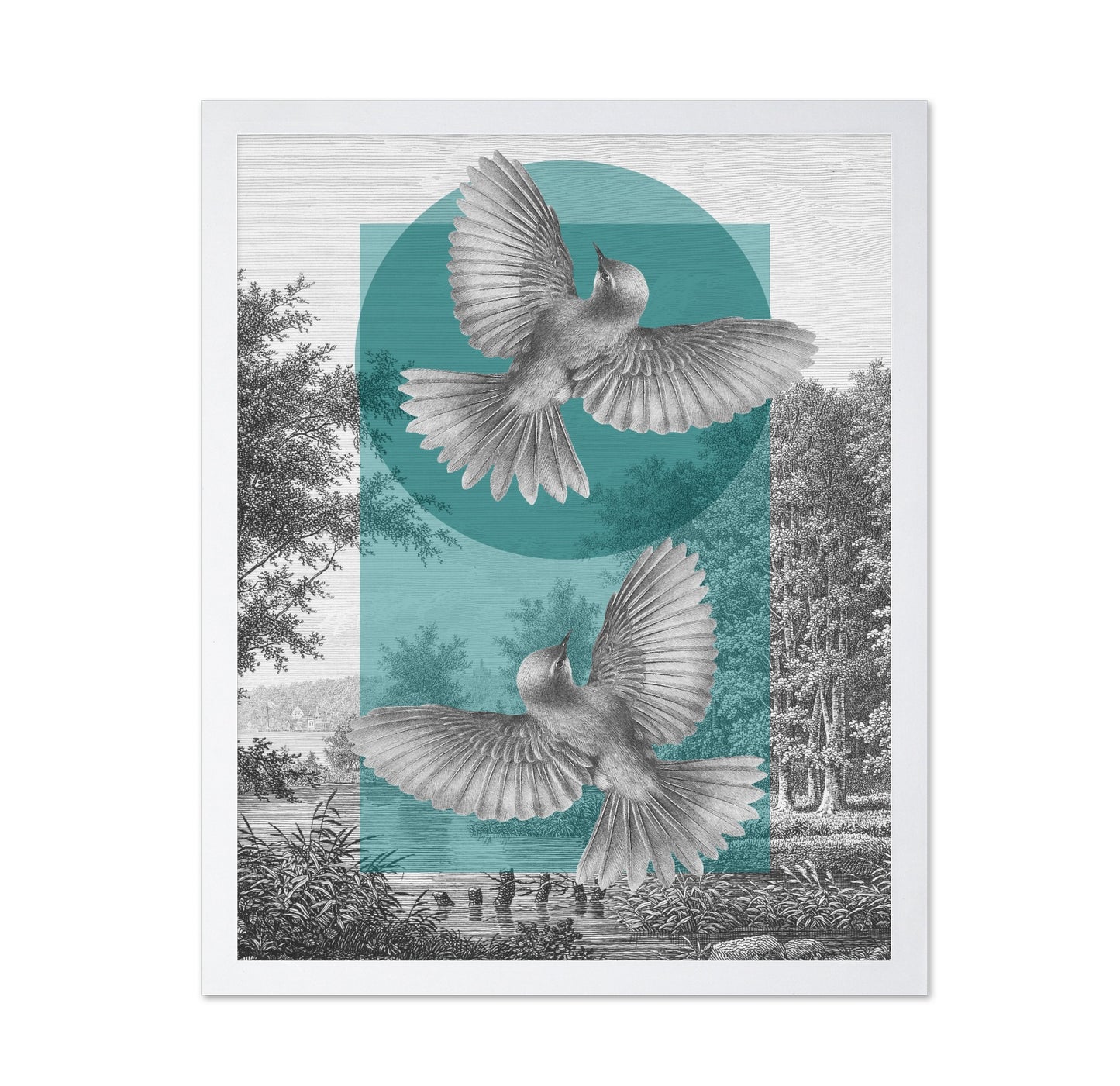 Twin Birds Flight No1