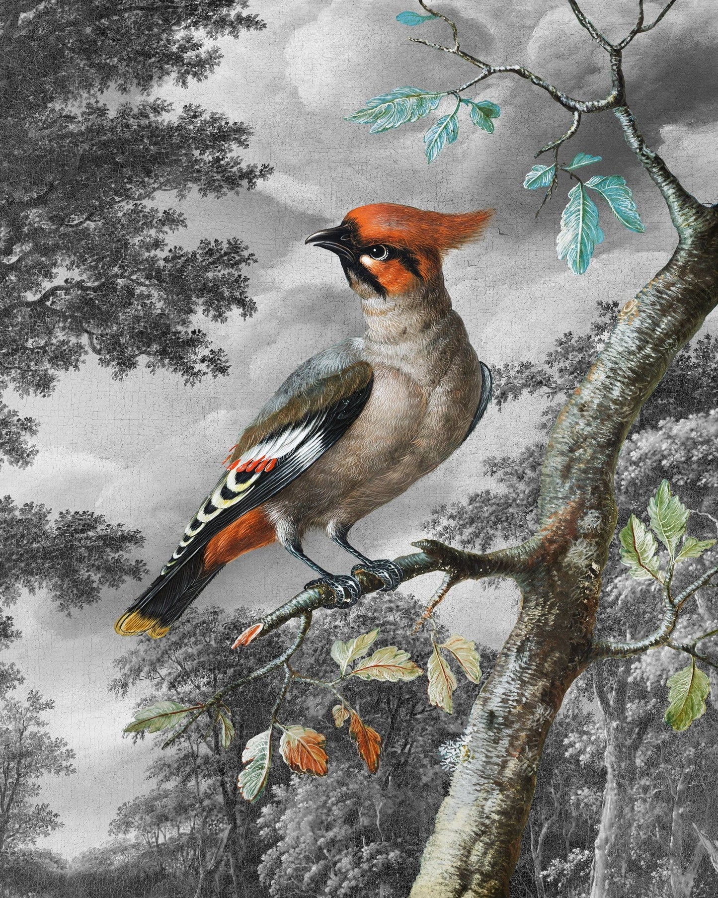 Forest Songbird