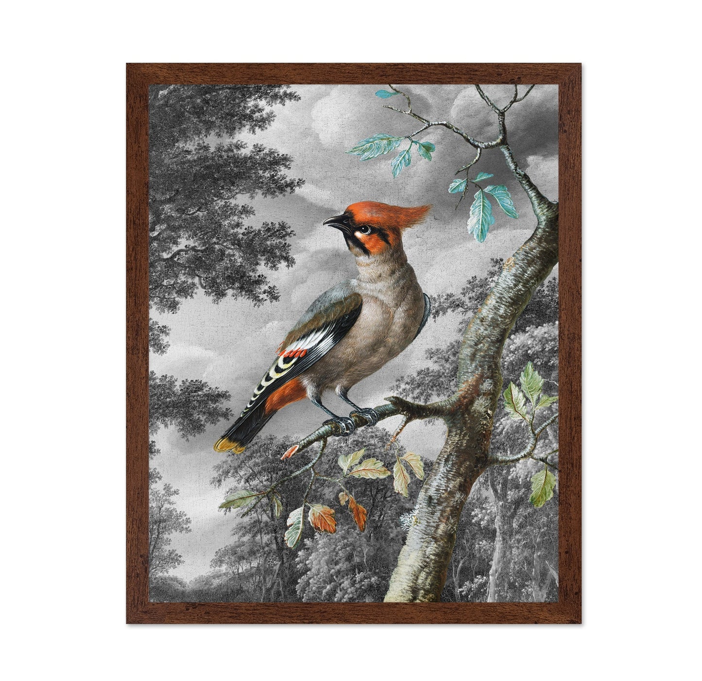 Forest Songbird