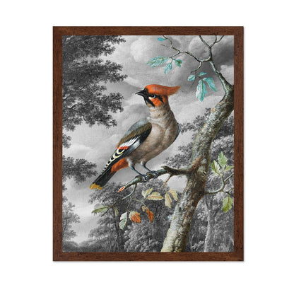 Forest Songbird