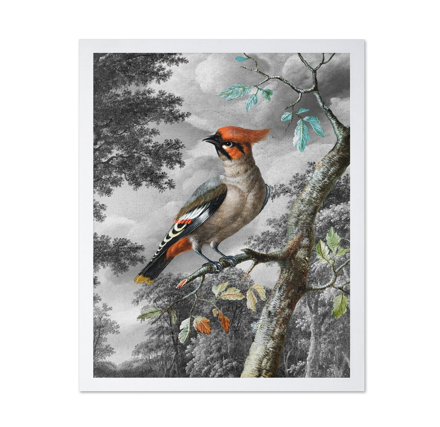 Forest Songbird