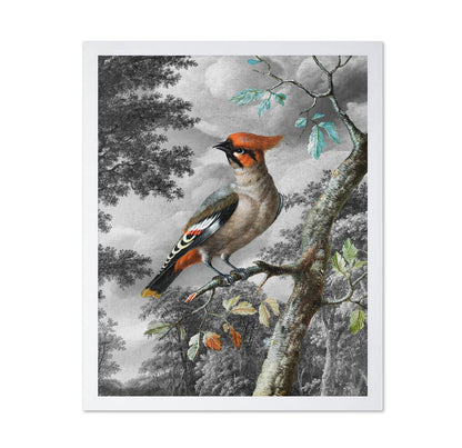 Forest Songbird