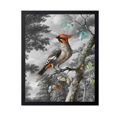 Forest Songbird