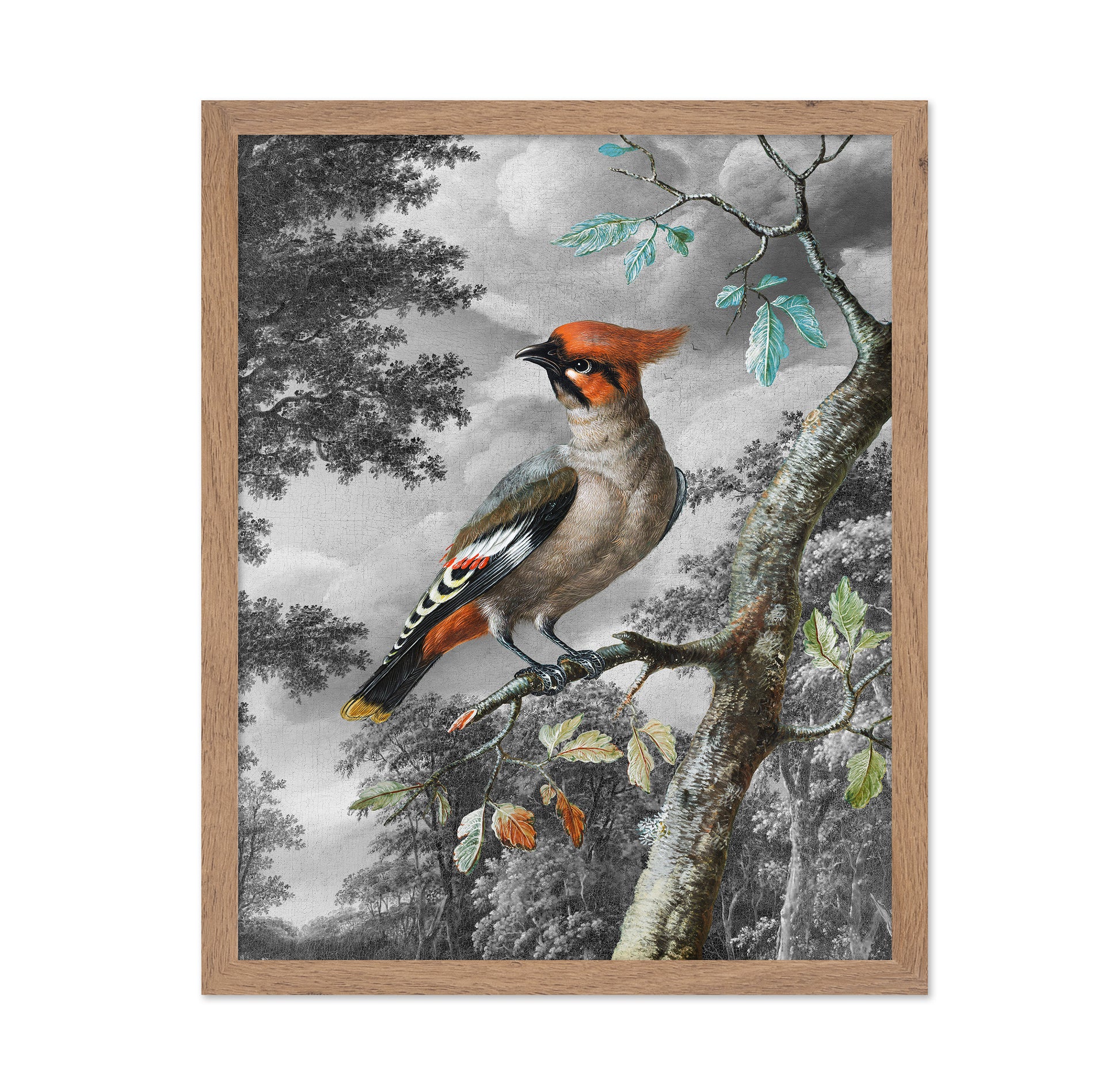 Forest Songbird