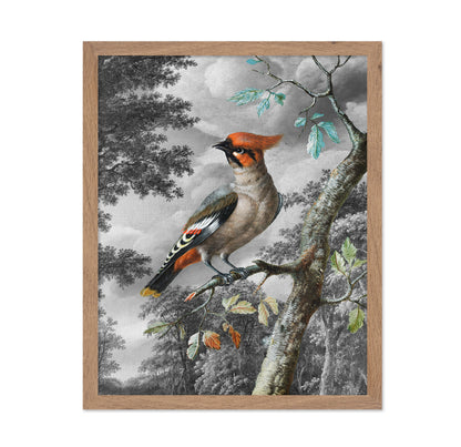 Forest Songbird
