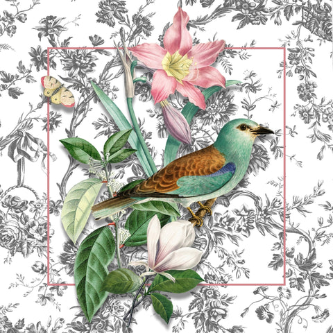 Botanical Bird Collage