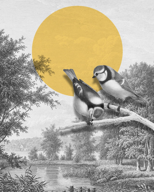 Golden Sun Birds