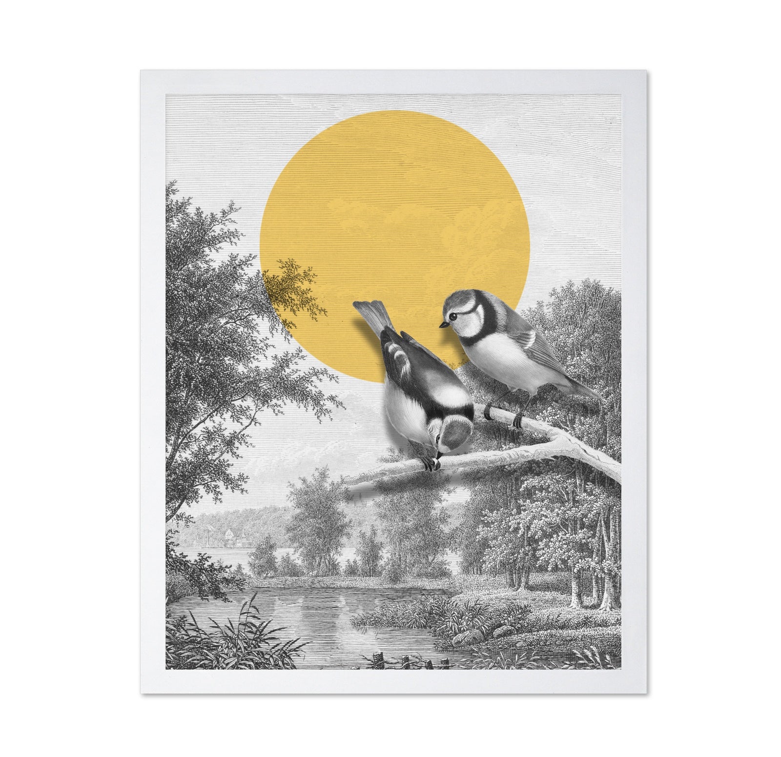 Golden Sun Birds