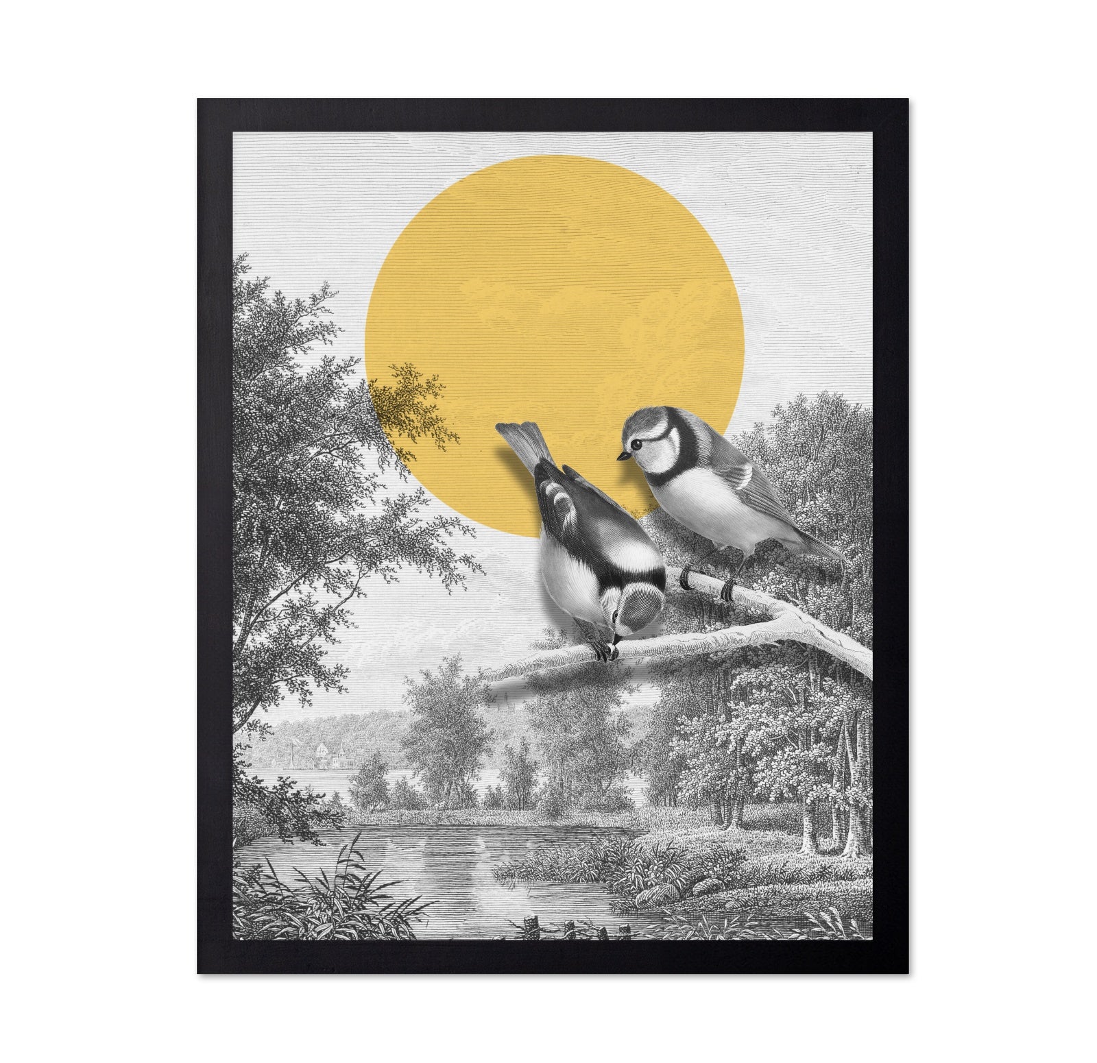 Golden Sun Birds