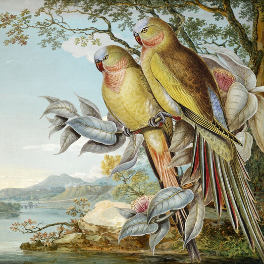 Parakeet River Pair