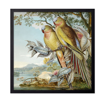 Parakeet River Pair