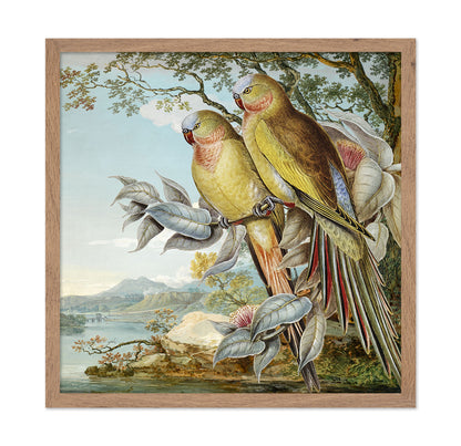 Parakeet River Pair