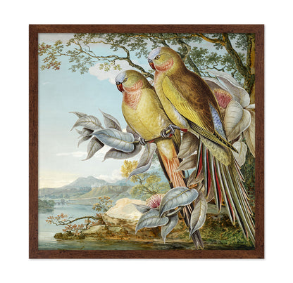 Parakeet River Pair