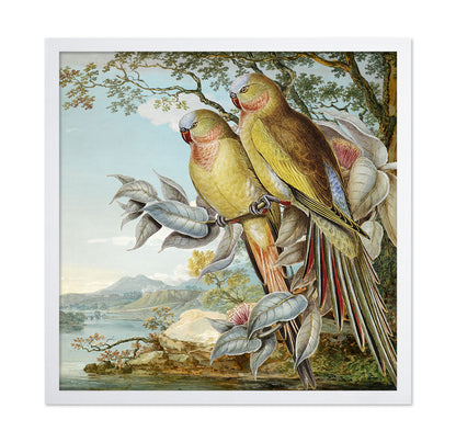 Parakeet River Pair