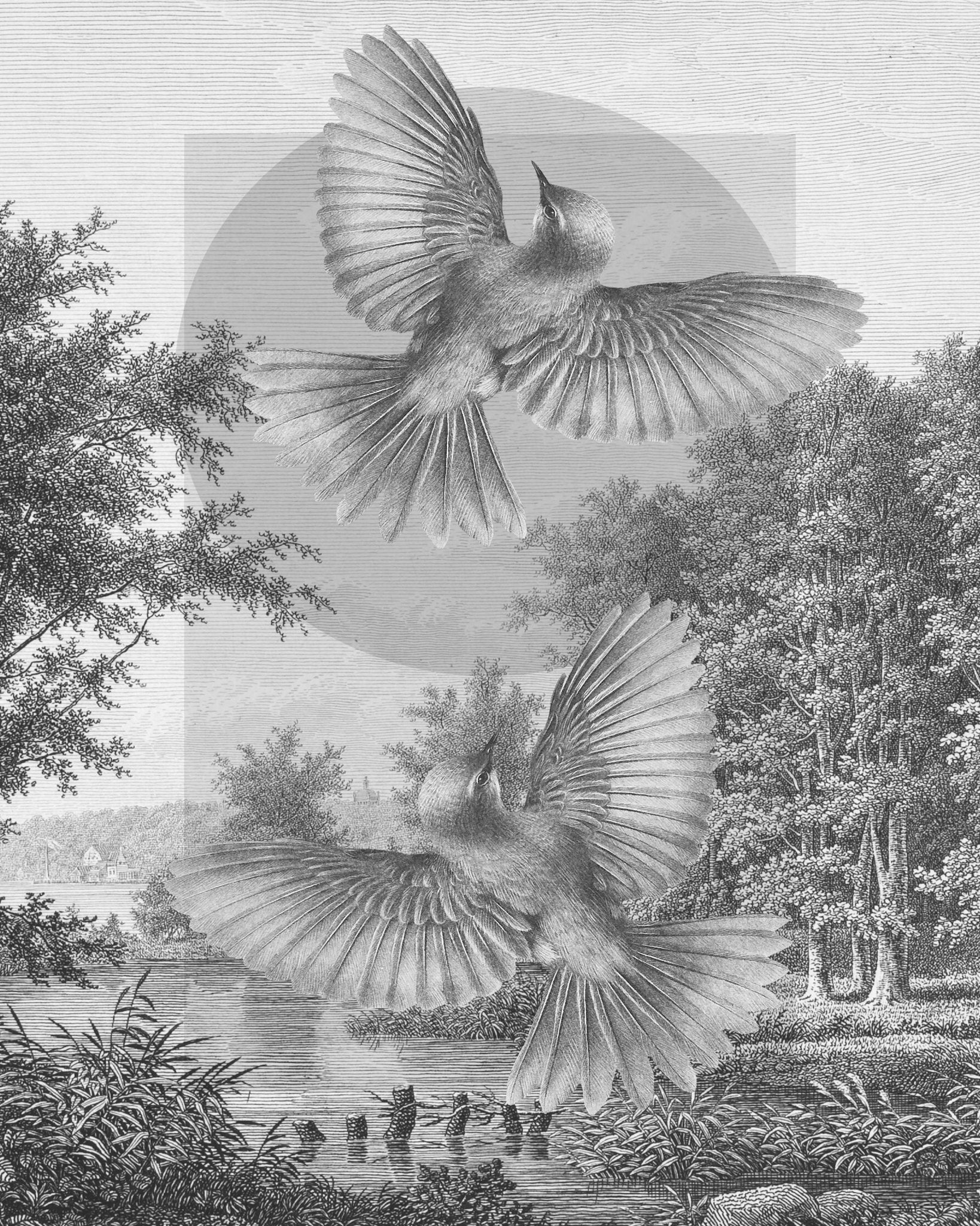 Flying Forest Birds