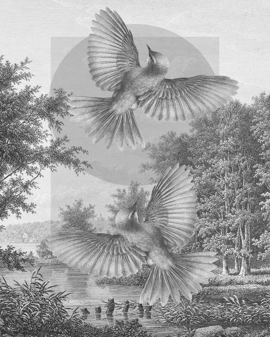 Flying Forest Birds