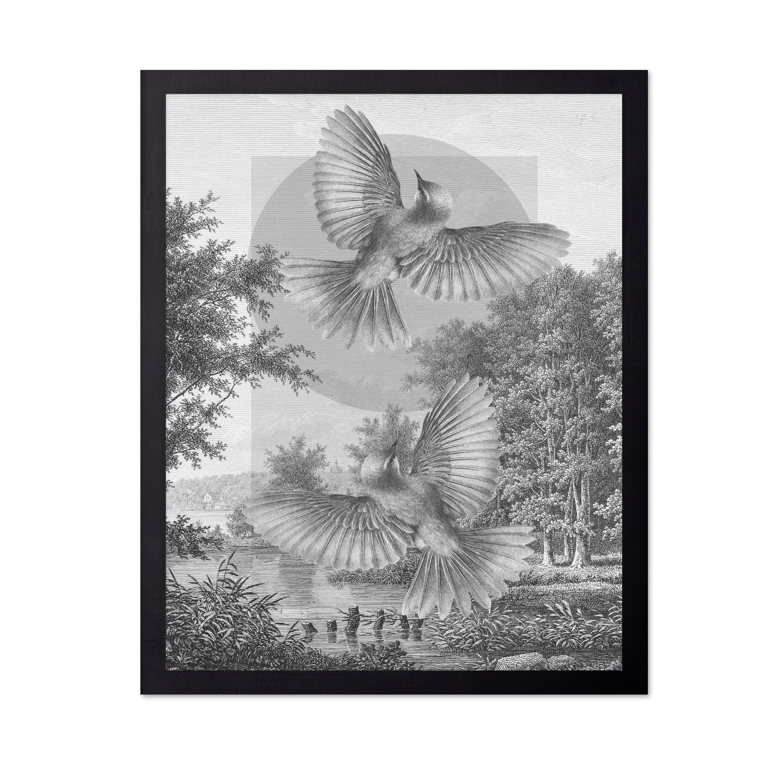 Flying Forest Birds
