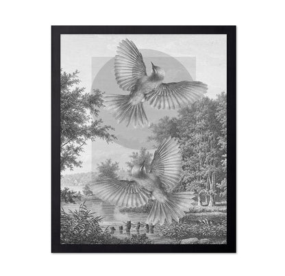 Flying Forest Birds