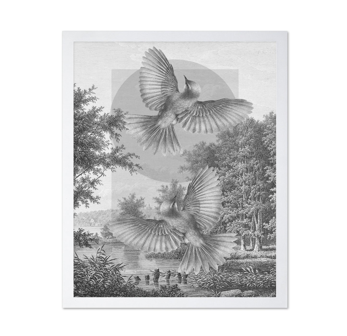 Flying Forest Birds