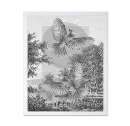 Flying Forest Birds