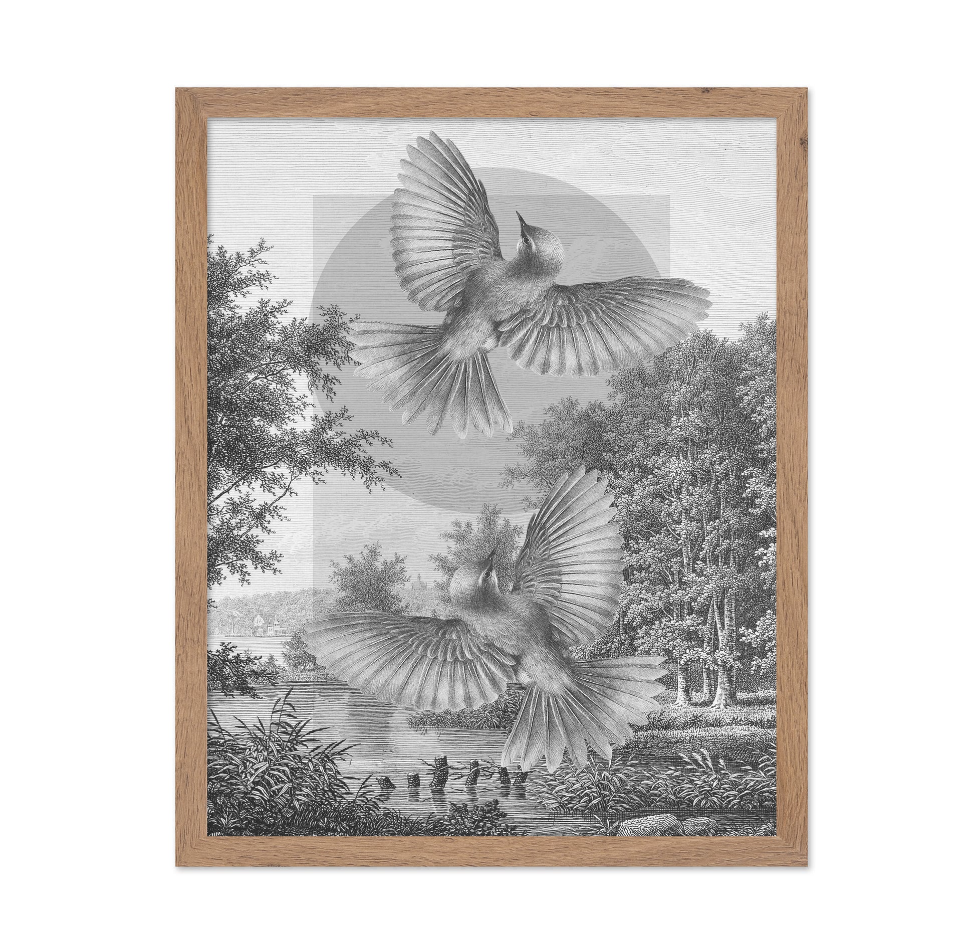 Flying Forest Birds