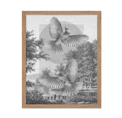 Flying Forest Birds