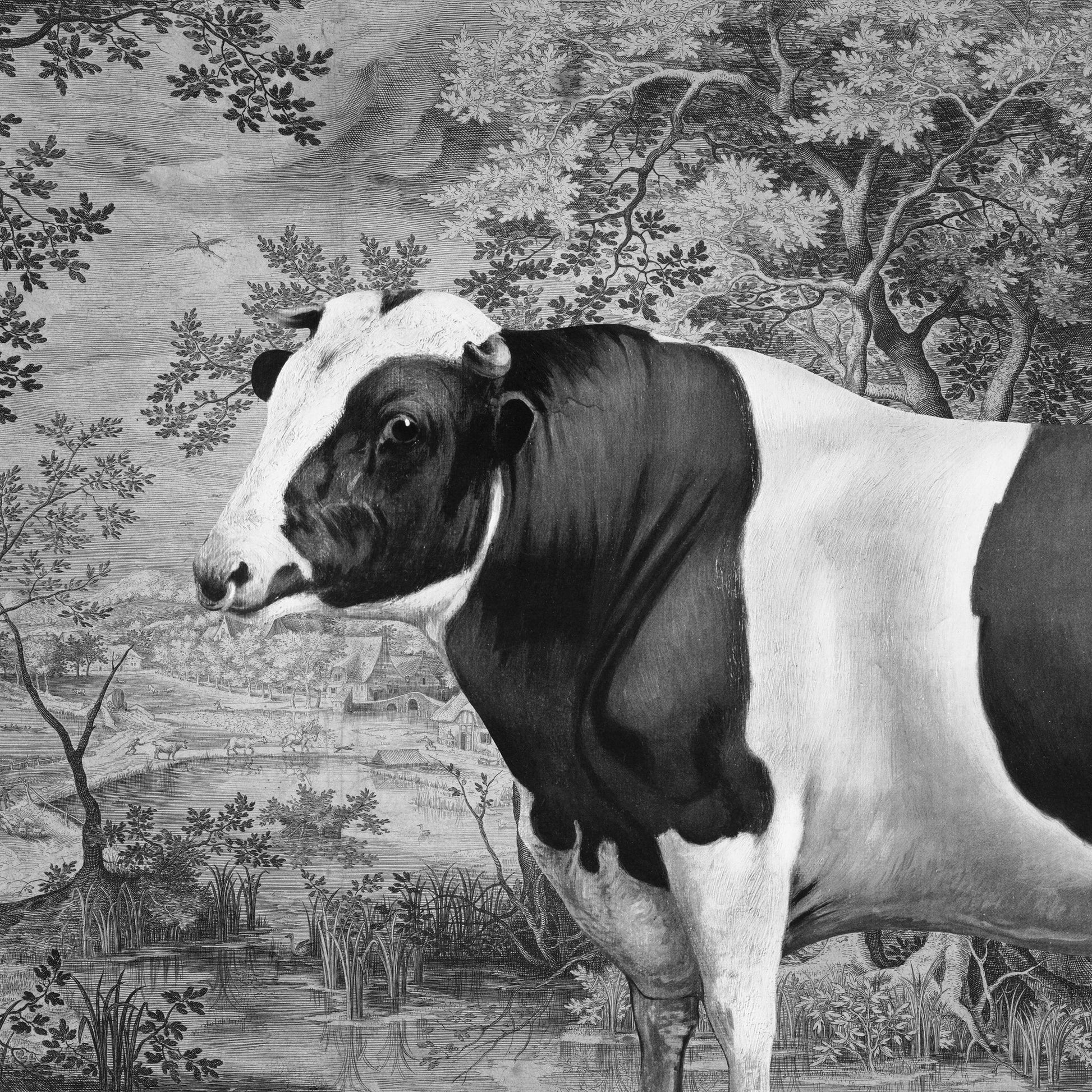 Pastoral Cow Portrait