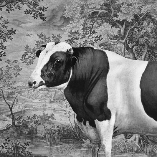 Pastoral Cow Portrait