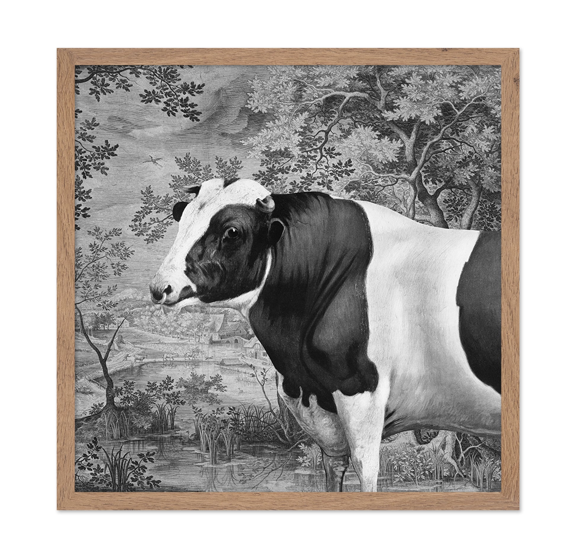 Pastoral Cow Portrait