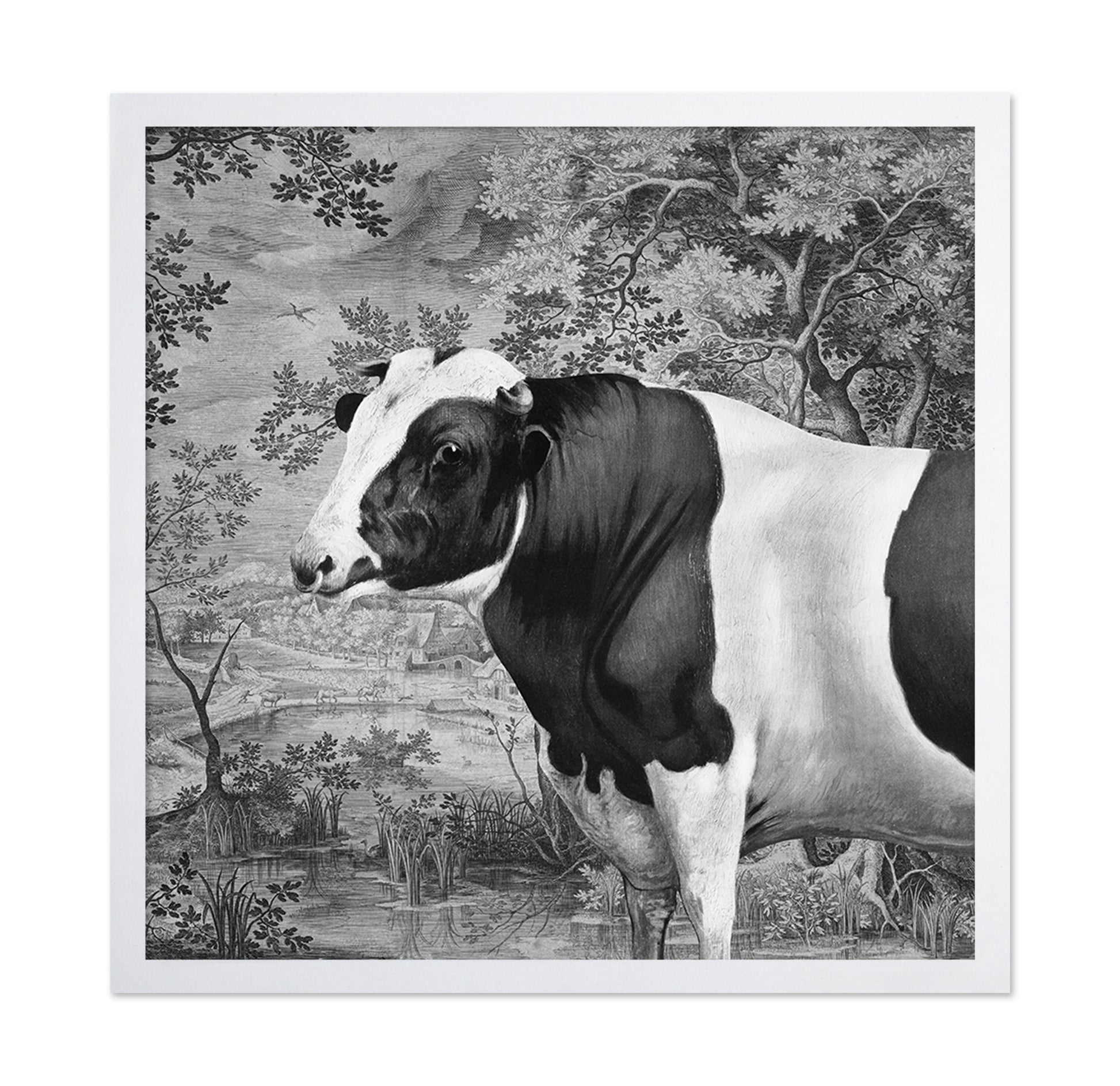 Pastoral Cow Portrait