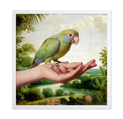 Parrot On Hand