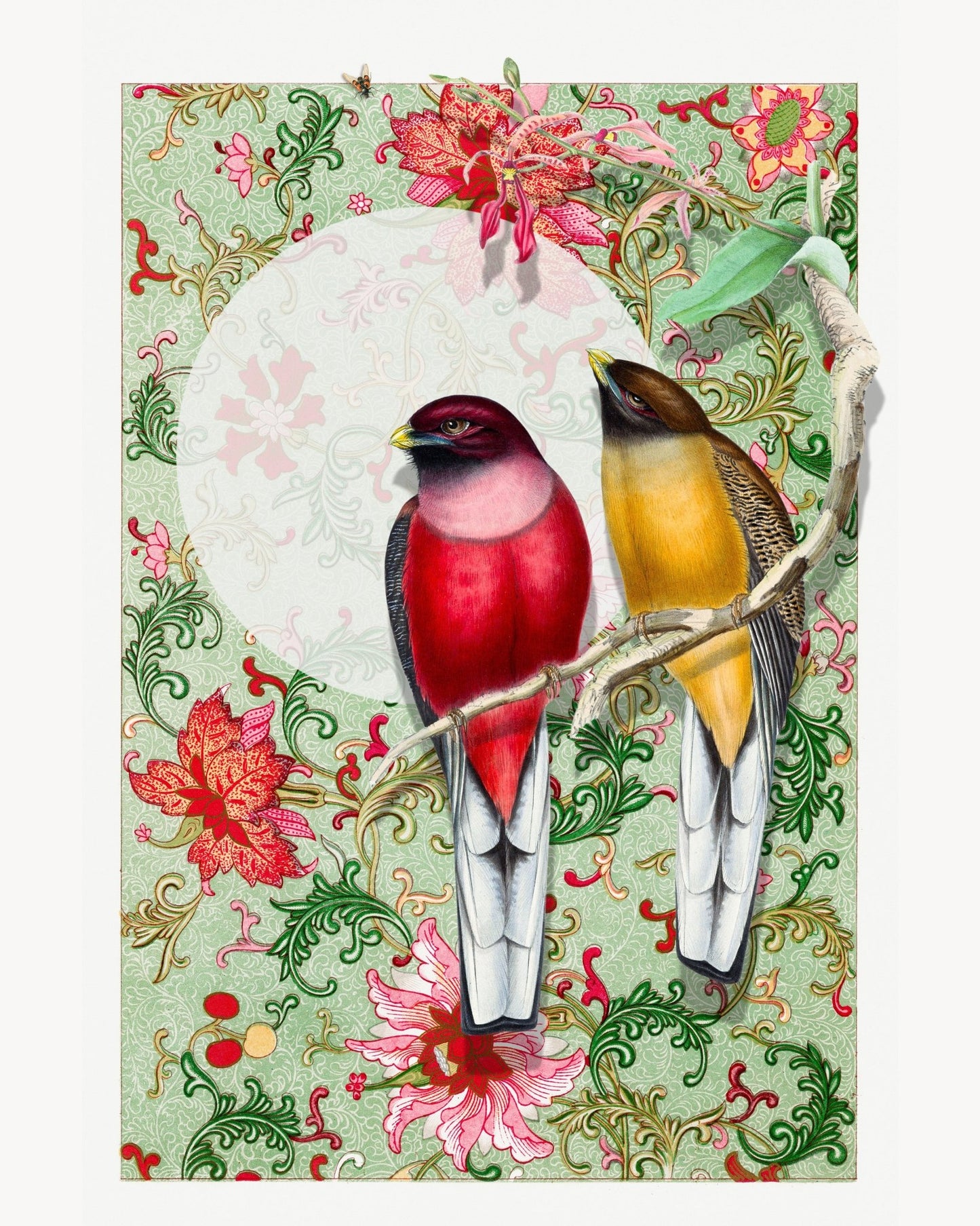 Songbirds In Garden