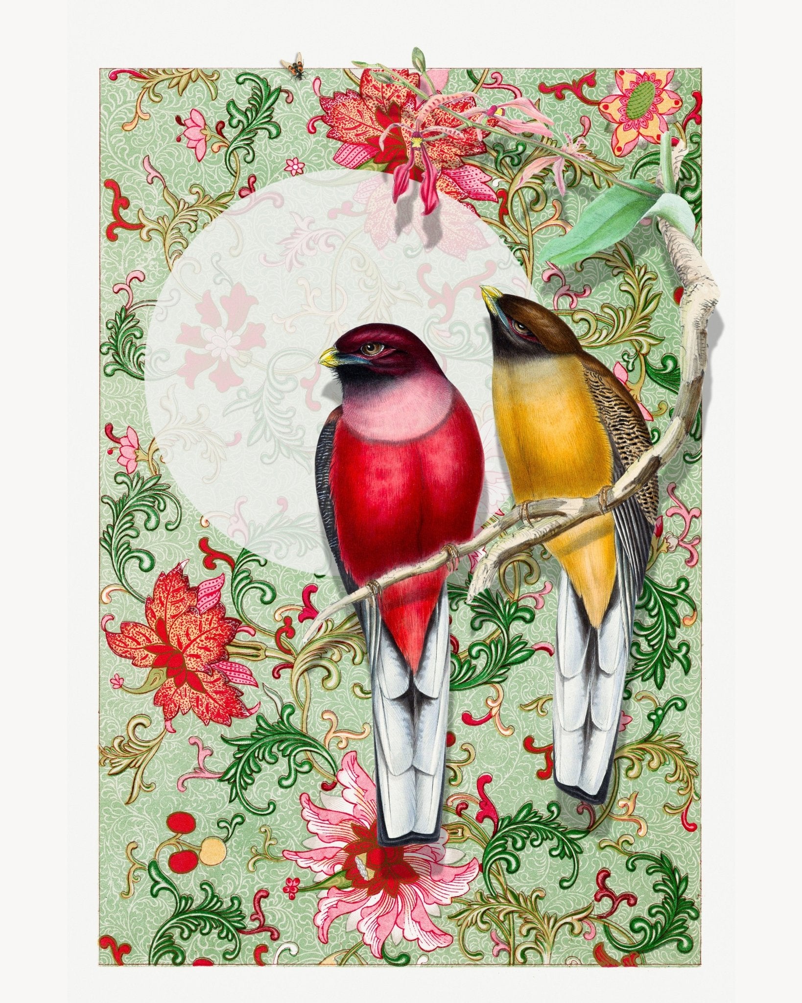 Songbirds In Garden