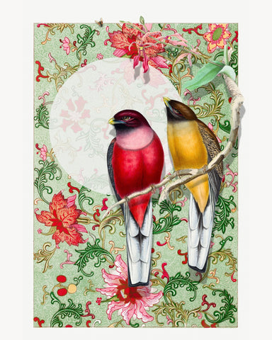 Songbirds In Garden