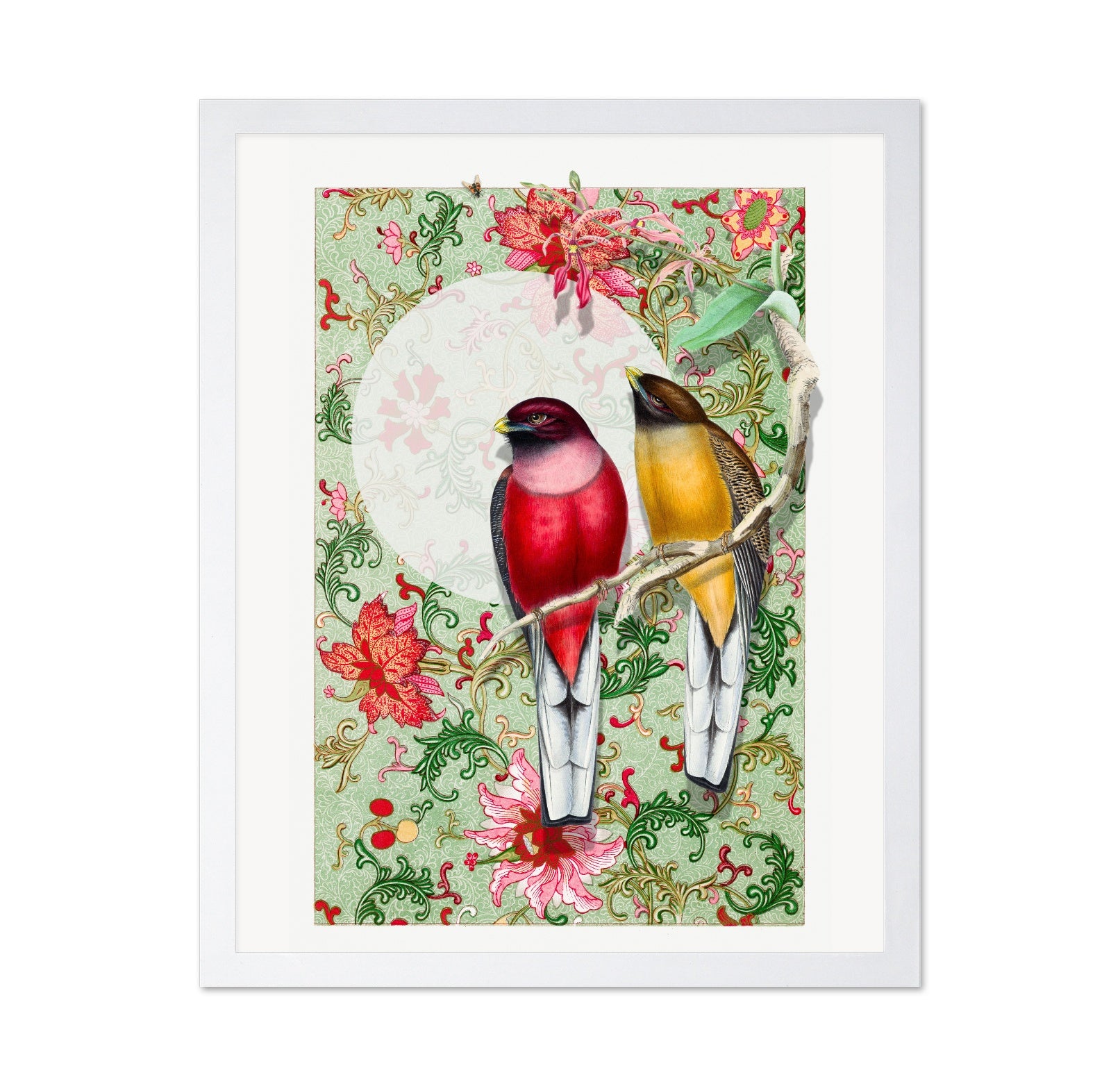 Songbirds In Garden