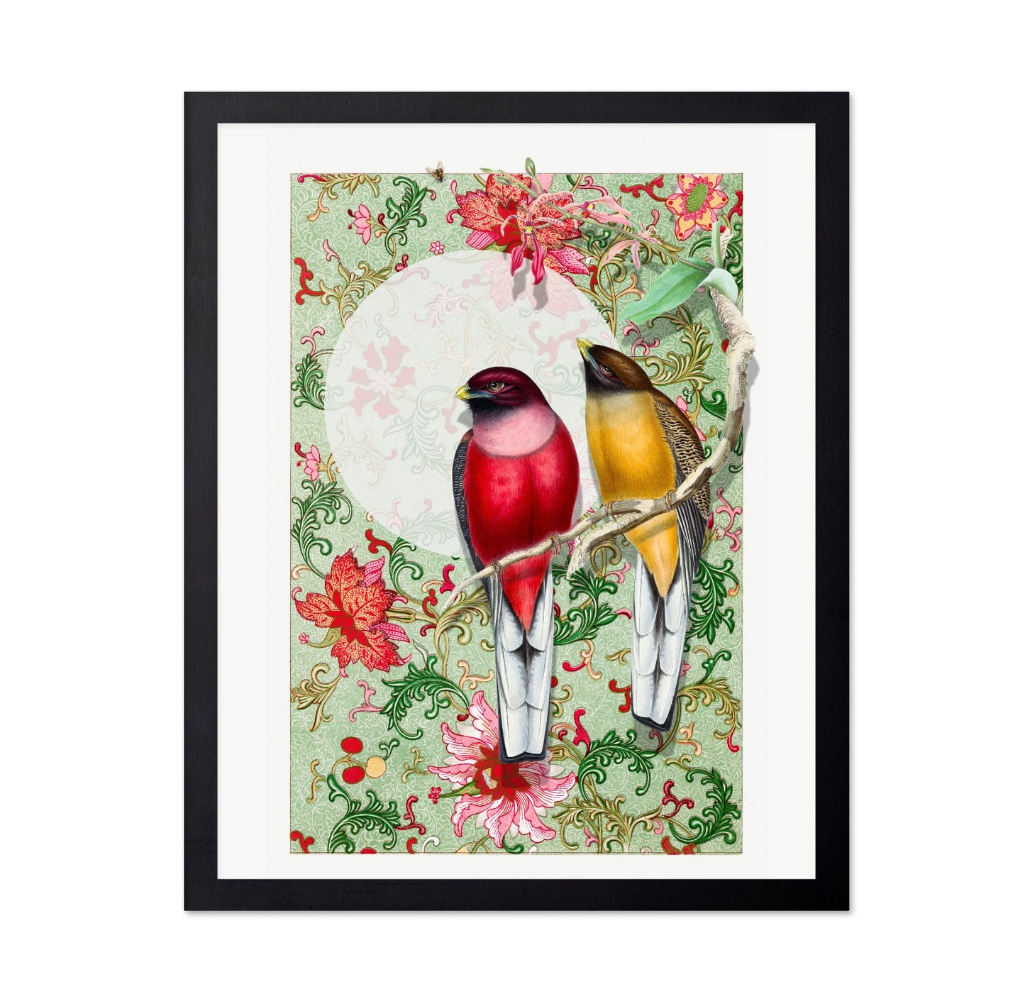 Songbirds In Garden