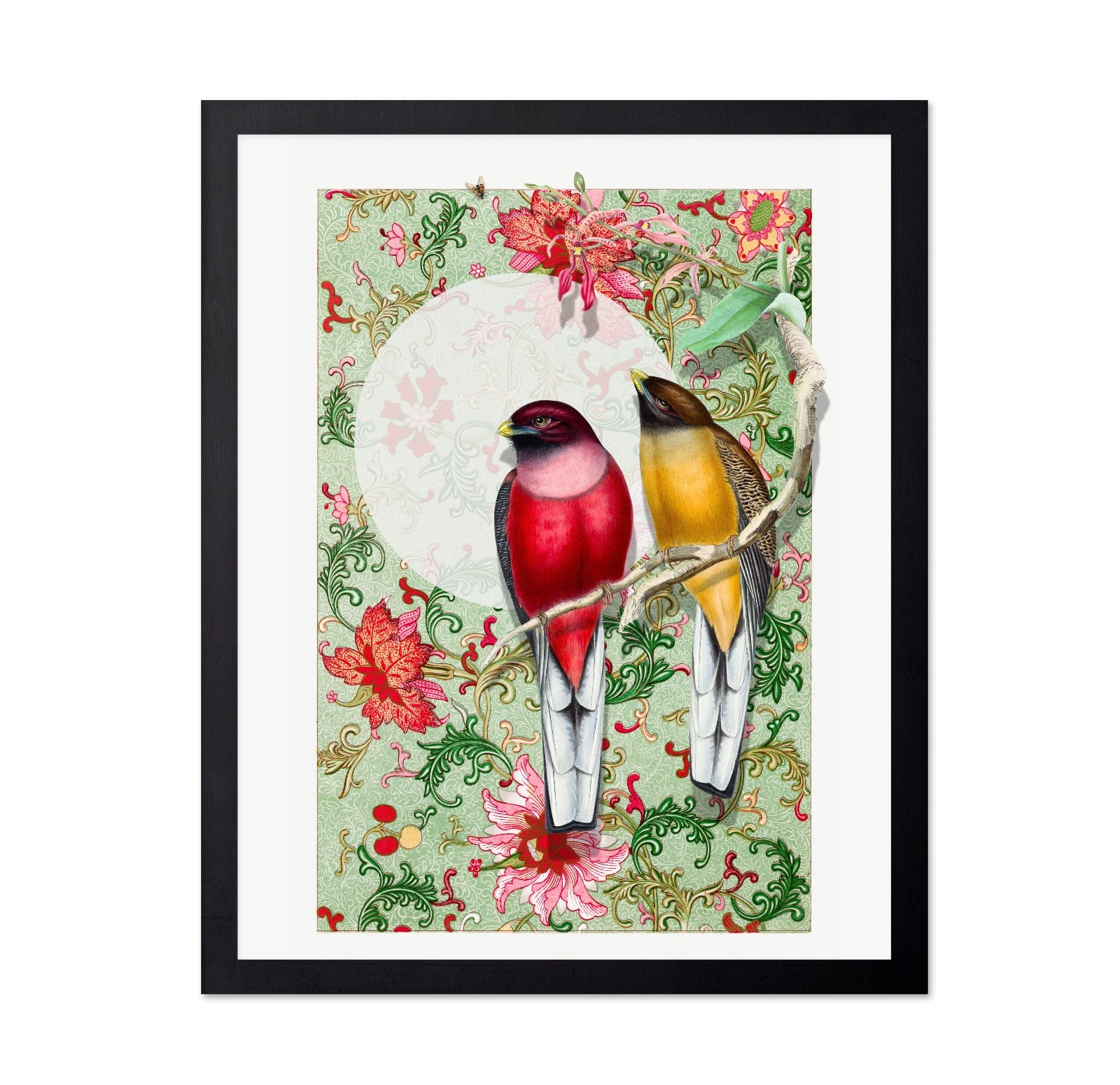 Songbirds In Garden