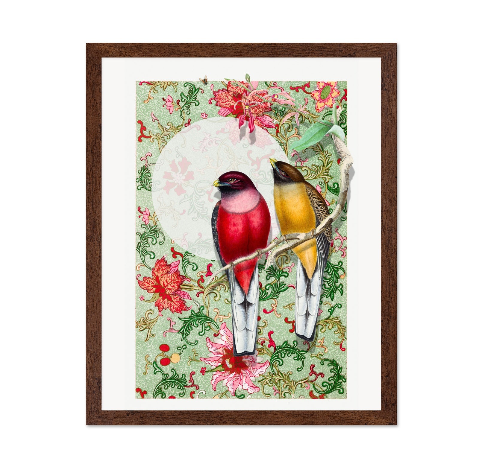 Songbirds In Garden