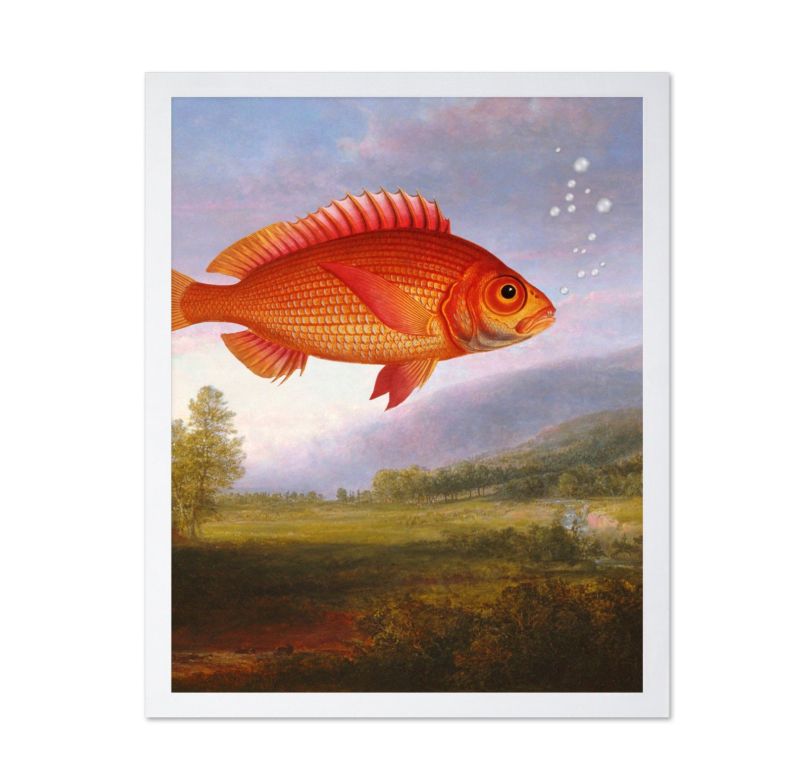 Floating Red Fish